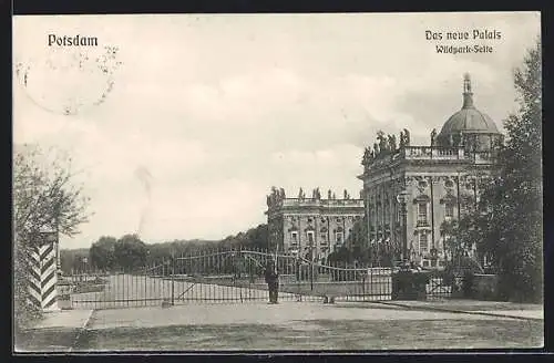AK Potsdam-Sanssouci, Das neue Palais von der Wildpark-Seite