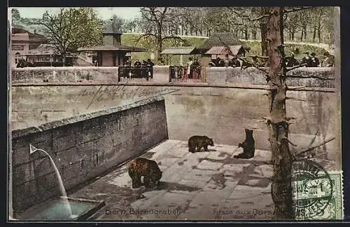 AK Bern, Der Bärengraben im Zoo