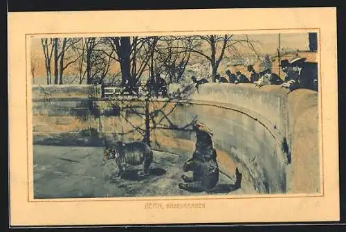 AK Bern, Zoobesucher am Bärengraben