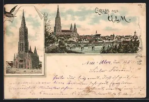 Lithographie Ulm, Ortsansicht und Münster