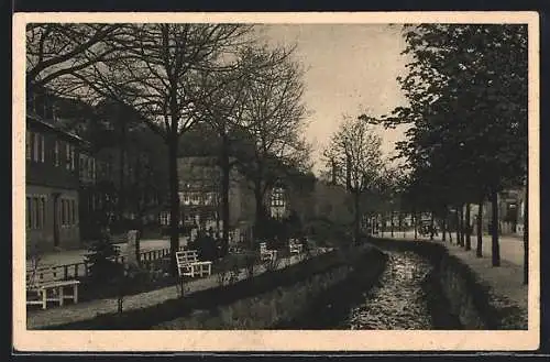 AK Oberschlema i. Erzgeb., Uferpartie