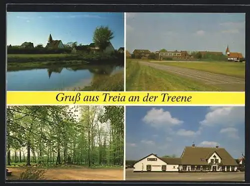 AK Treia, Ortsansicht, Waldpartie, Hausansicht