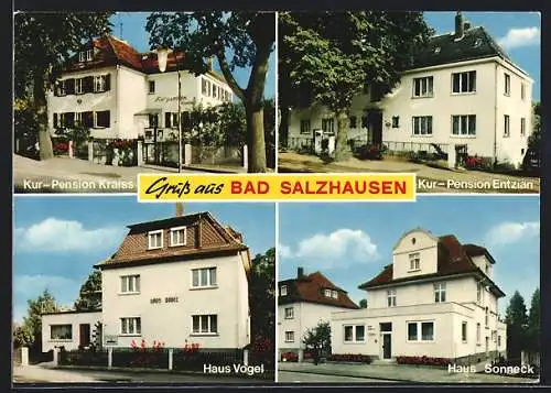 AK Bad Salzhausen, Hotel Haus Vogel, Kurpension Kraiss