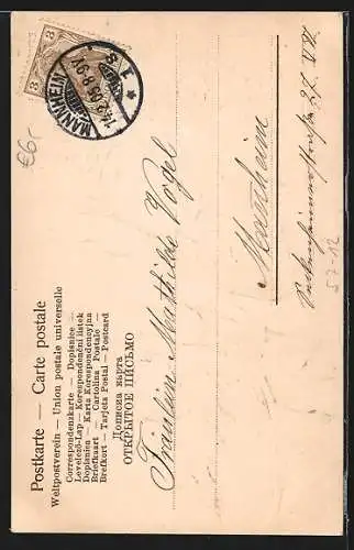 AK Zweige mit weissen Rosen