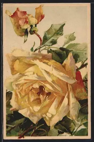 AK Gelbe Rosen mit Blättern