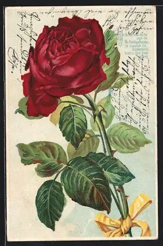 AK Rote Rose mit gelber Schleife