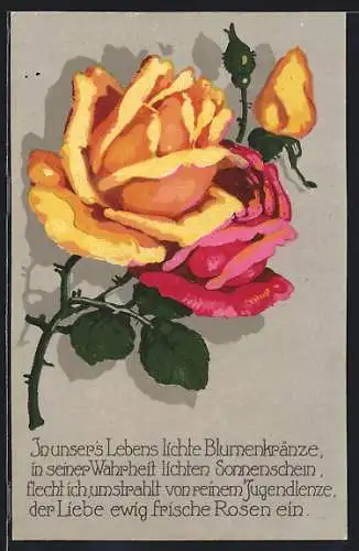 AK Rosafarbene und gelbe Rose