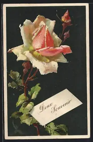 Präge-AK Weisse Rose mit Knospen