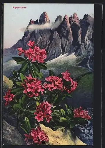 AK Bergpanorama mit Alpenrosen