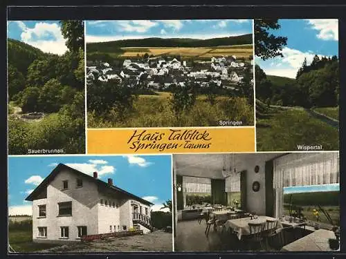 AK Springen / Heidenrot, Hotel-Restaurant Haus Talblick, Sauerbrunnen und Wispertal