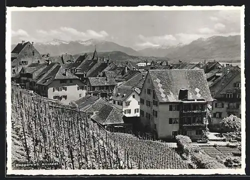 AK Rapperswil, Altstadt aus der Vogelschau