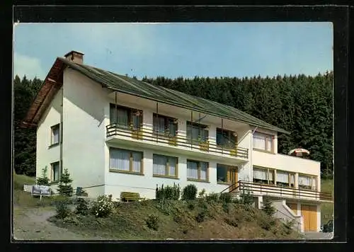 AK Willingen / Waldeck, Hotel-Pension Haus Görlich