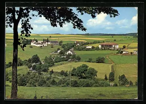 AK Desserath /Eifel, Hotel-Pension Haus Anny A. Jost mit Umgebung aus der Vogelschau