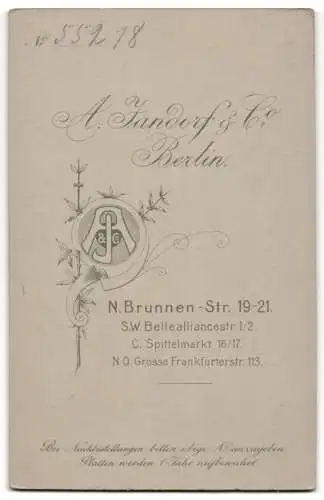 Fotografie A. Jandorf & Co., Berlin, Brunnen-Str. 19-21, Junge Dame im weissen Kleid