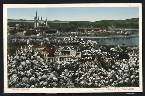 AK Werder / Havel, Panorama während der Baumblüte