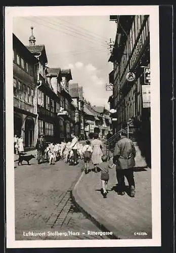 AK Stolberg / Harz, Rittergasse mit Passanten