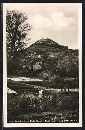 AK Bad Blankenburg /Thür. Wald, Blick n. d. Ruine Greifenstein