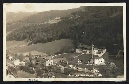 AK Aue b. Schottwien, Ortsansicht mit Fabrik