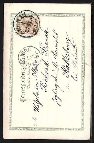 Lithographie Wien, Reichsrathsgebäude, Universität mit Strasse