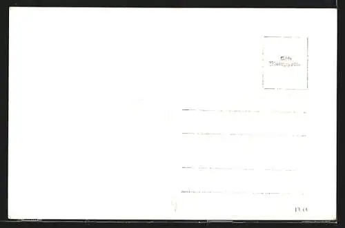 AK Trautmannsdorf a. d. Leitha, Mariensäule mit Pfarrhof