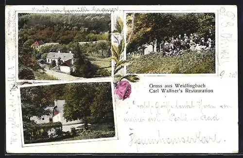 AK Weidlingbach, Gasthaus Carl Wallners Restauration, mit Gruppe im Garten