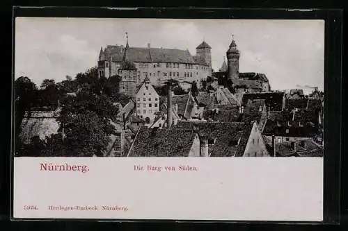 AK Nürnberg, Die Burg von Süden