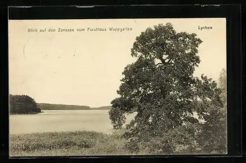 AK Lychen, Blick auf den Zenssee vom Forsthaus Wuppgarten