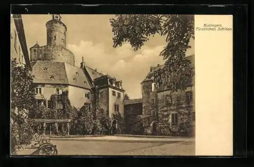 AK Büdingen / Hessen, Fürstliches Schloss