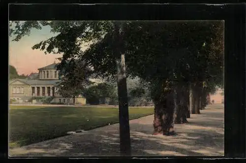 AK Bonn, Allee im Hofgarten mit Akadem. Kunst-Museum
