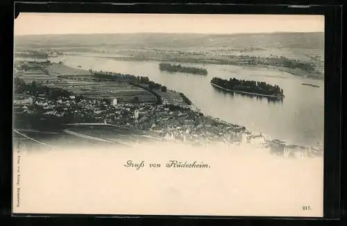 AK Rüdesheim / Rhein, Ortsansicht mit Blick über das Wasser