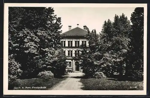 AK Bruck a. Mur, Weg zur Forstschule