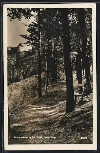 AK Pitten, Blick auf den Waldweg