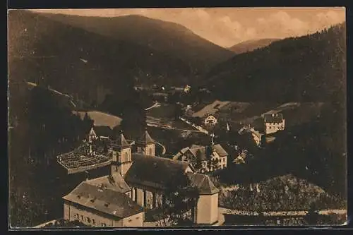 AK Rippoldsau, Ortsansicht mit Blick ins Tal