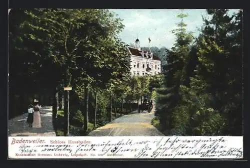 AK Badenweiler, Waldhotel, Schloss Hausbaden, Kutsche