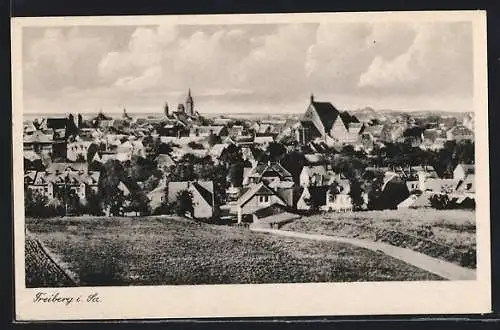 AK Freiberg i. Sa., Ortsansicht mit Kirche
