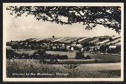 AK Dittersdorf bei Bad Blankenburg, Ortsansicht hinter Zweigen