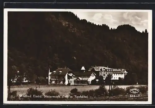 AK Wildbad Einöd /Steiermark, Ortspartie