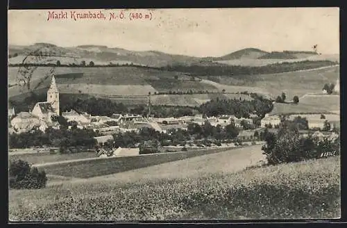 AK Markt Krumbach /N.-Ö., Teilansicht mit Kirche