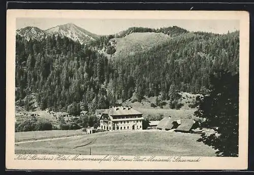 AK Mariazell-Grünau /Steiermark, Hotel Marienwasserfall Karl Stenitzer
