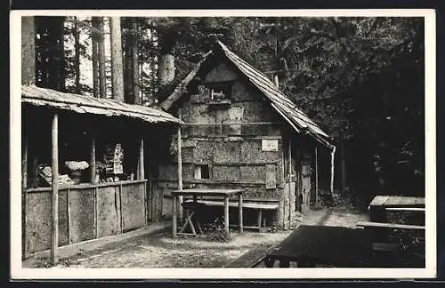 AK Mariazell, Gasthaus Waldhansl mit Ansichtskarten-Verkauf