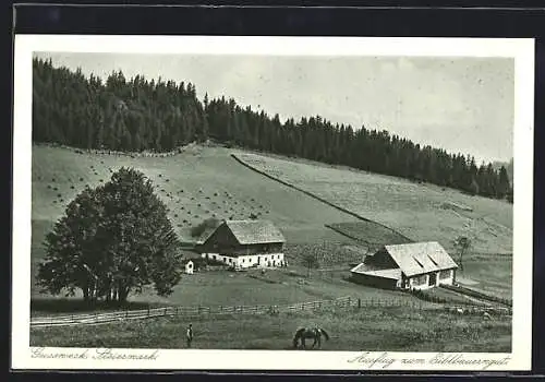 AK Gussweck, Ausflug zum Eiblbauerngut