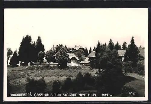AK Alpl, Bruggraber`s Gasthaus zur Waldheimat