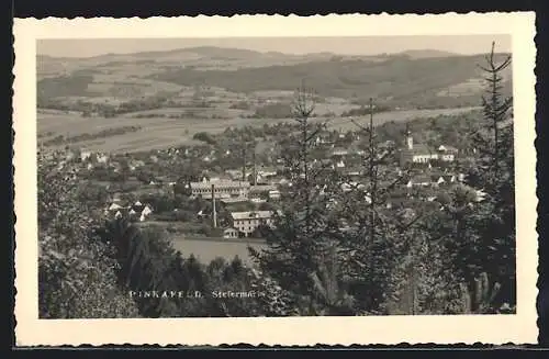 AK Pinkafeld /Steiermark, Teilansicht mit Fabrik