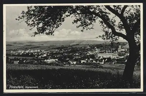 AK Pinkafeld /Steiermark, Teilansicht mit Baum