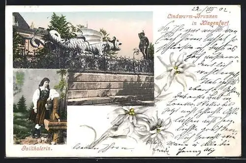 AK Klagenfurt, Lindwurm-Brunnen, Gailtalerin