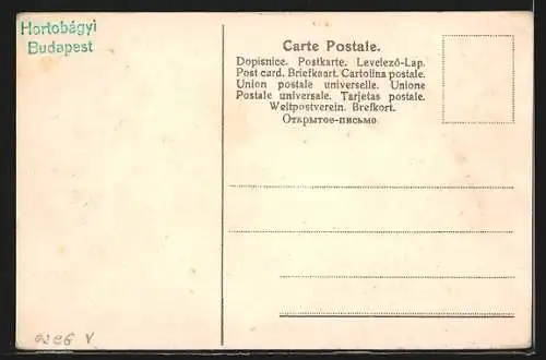 Lithographie Gmunden, Sanatorium und Kurhotel