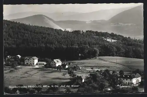 AK Prigglitz /N. Oe., Ortsansicht gegen die Berglandschaft