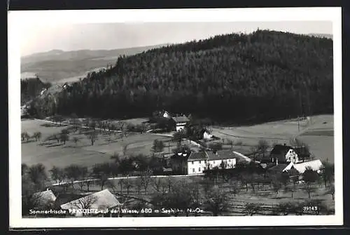 AK Prigglitz /N.-Oe., Ortsansicht gegen ein Waldstück