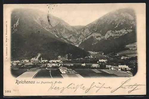 AK Reichenau bei Payerbach, Ortsansicht gegen die Berge