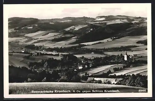 AK Krumbach /N.-Oe, Ortsansicht gegen das Schloss